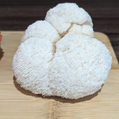 Fresh Lions Mane Mushroom – Brain-Boosting Superfood