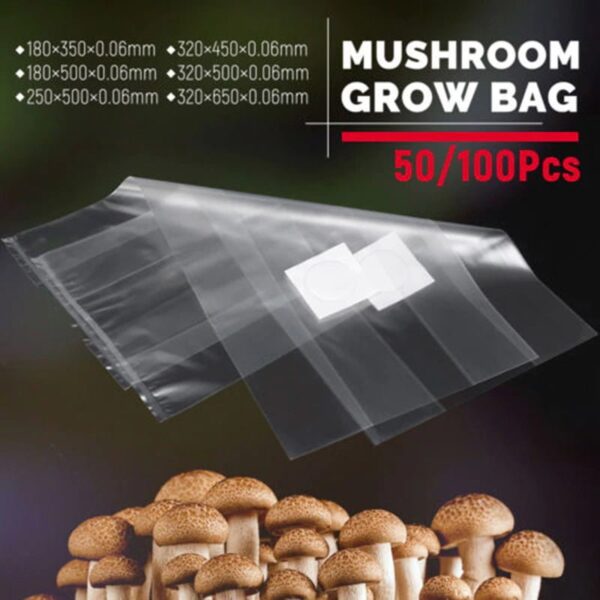 Mushroom Bag