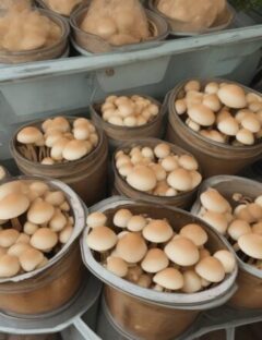 How to Properly Store Fresh Mushrooms