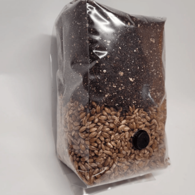 Premium CVG Substrate: High-Quality Coco Coir, Vermiculite, and Gypsum Mix